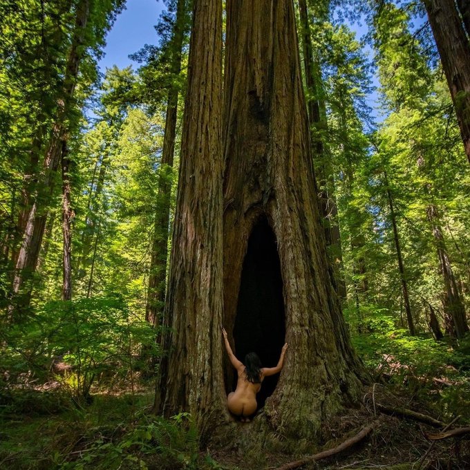 Bangalore Escorts | High Profile College Girls & Models 24/7