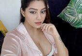Arjun Nagar  Call Girls :- @ 9873111406 Low Rate Service