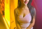High-Profile Models Available in Delhi 5-Star Hotels Near Lemon Tree Premier