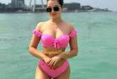 Smart Call Girls New Ashok Nagar Delhi 9958560360 Female Escorts Service