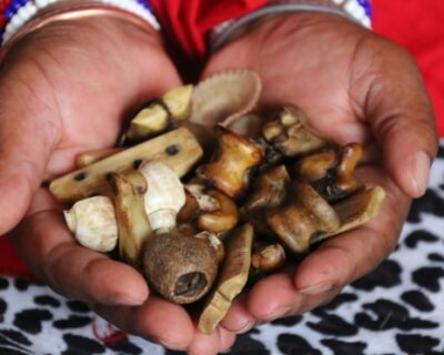 5660295_1638374896_11-4