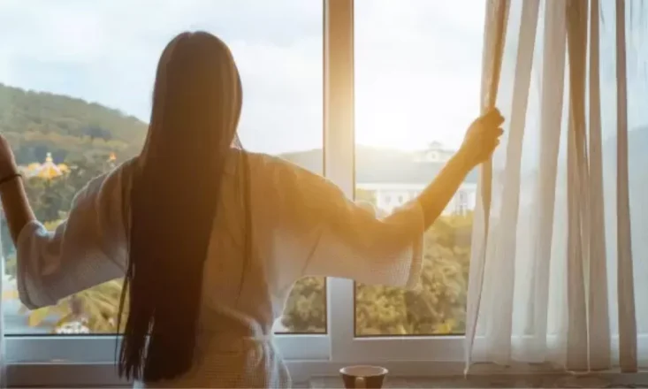 Window film singapore