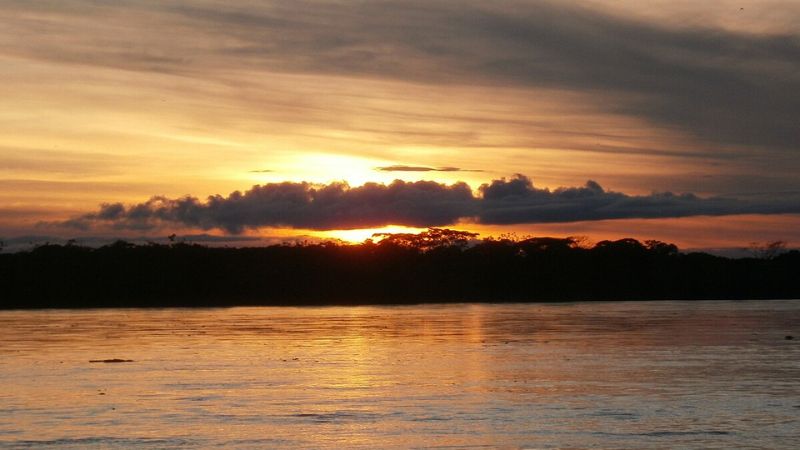 Information about Southwest Airlines Detroit Terminal