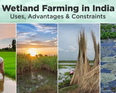 imgi_27_wetland_farming_cover_b