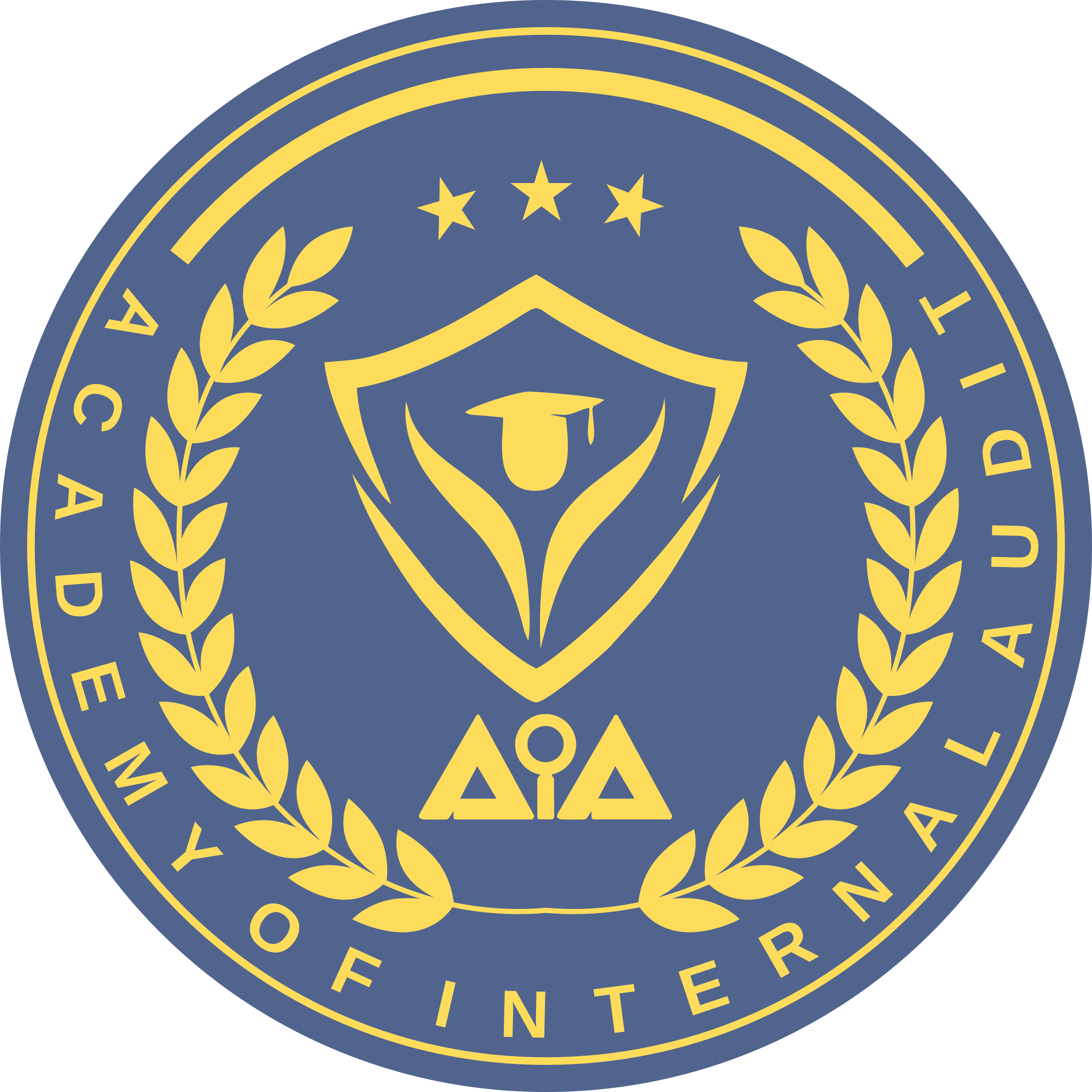 Academy of Internal Audit