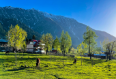 Kashmir Holiday Packages -Your Access to the Heaven on Earth