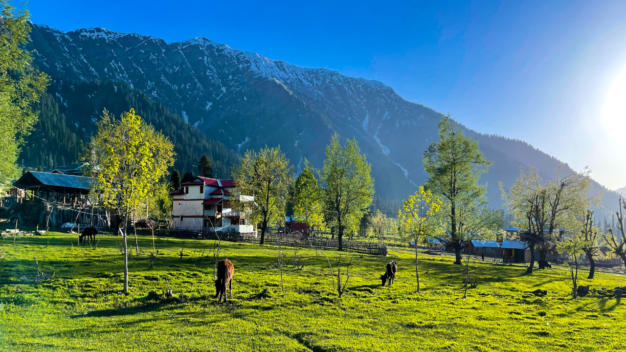 Kashmir Holiday Packages -Your Access to the Heaven on Earth
