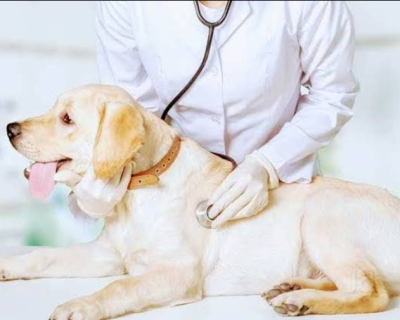 Screenshot-2025-12-10-101659