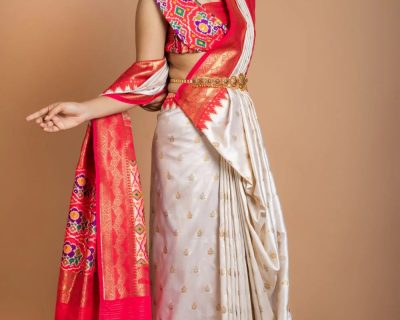 White_Silk_Saree_With_Red_Banarasi_Border_-_13-DDP1S541_1000x